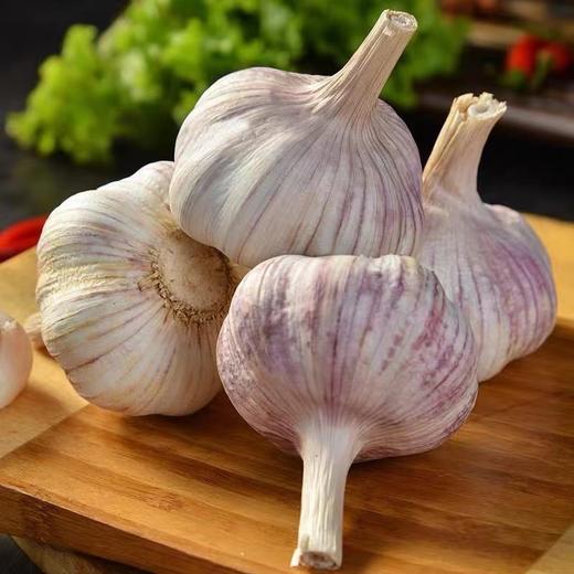 大蒜 480g-520g 商品图1