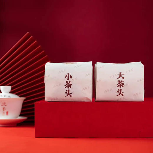 熟普丨德丰昌 2019年 陈年老茶头 300g 商品图3