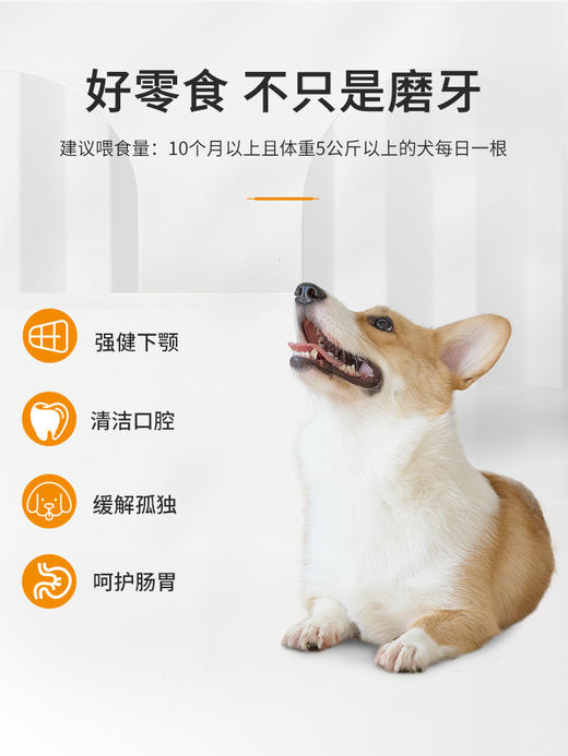 麦富迪狗狗零食宠物磨牙棒鸡肉卷牛皮 商品图4