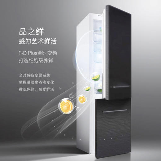 卡萨帝（Casarte）冰箱BCD-251WBIU1 商品图3