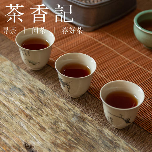 茶香记 九龙老天尖993 醇和甜润 陈香明显 90年代老黑茶 安化黑茶 商品图3