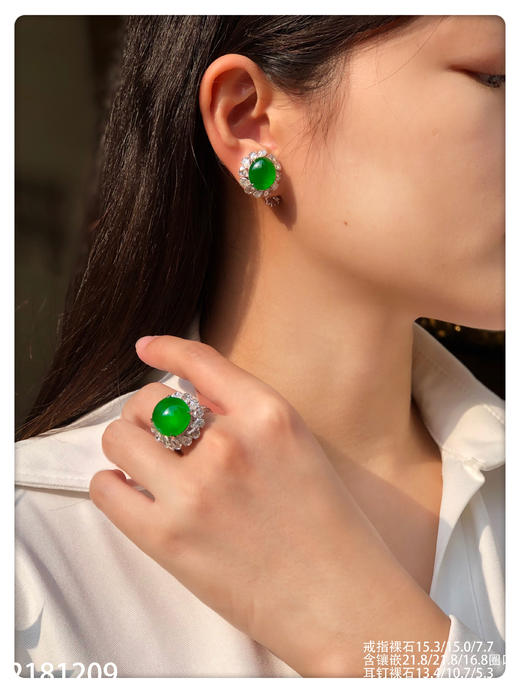 蛋面套装【2181209】具体价格微信咨询 商品图4