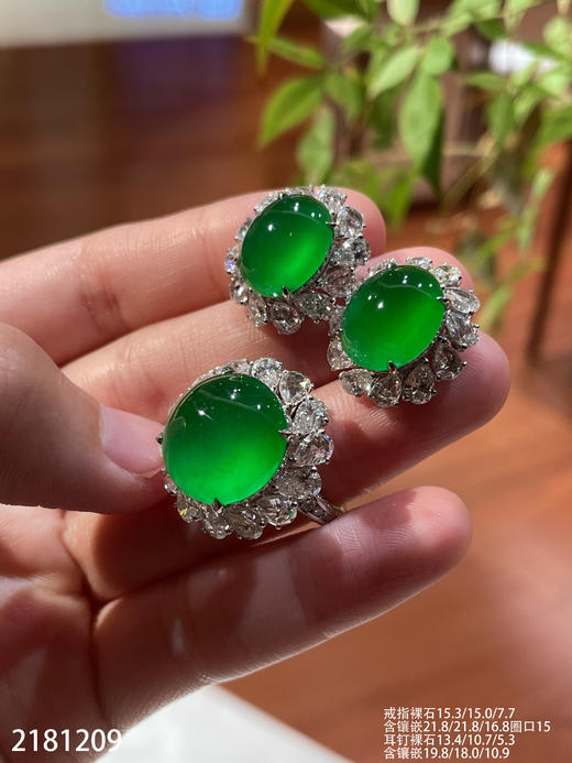 蛋面套装【2181209】具体价格微信咨询 商品图1