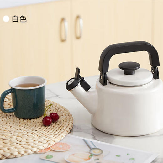 方形鸣笛叫壶 CTN-2.1WK 商品图2