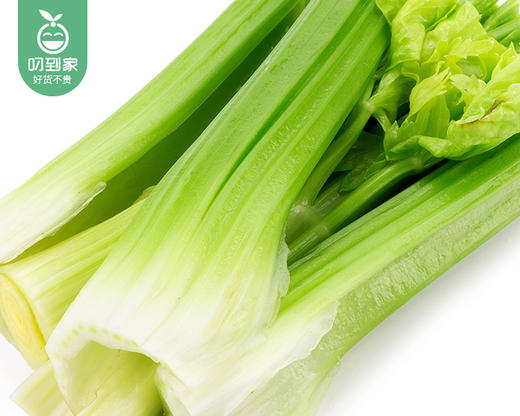 【叼鲜蔬】有机新鲜西芹/1份（约400g） 商品图3