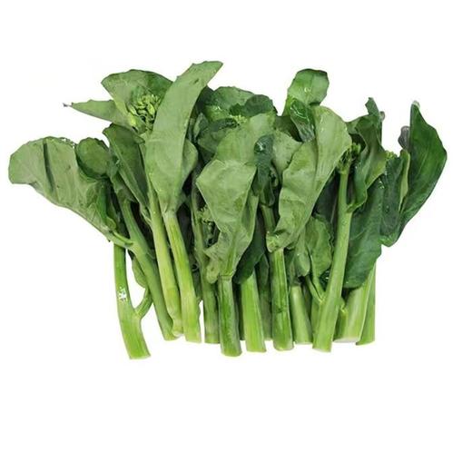 宁夏芥兰苗 商品图0