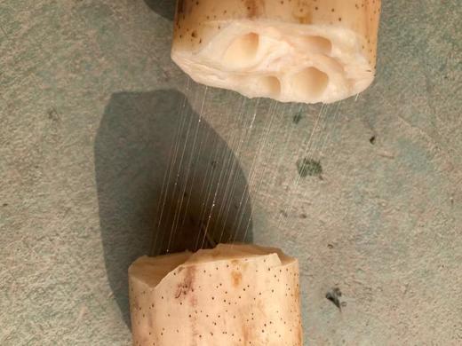 2025年洪湖农家 莲藕 粉藕5斤 现阶段需使用燃气高压锅上气大火炖25分钟以上，不粉包赔！ 顺丰包邮 商品图6