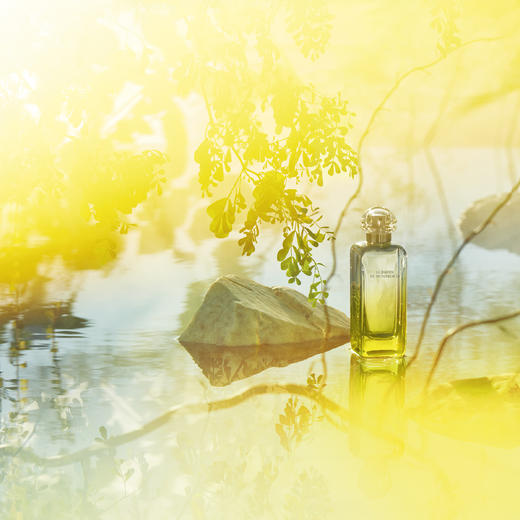 Hermes爱马仕李先生花园30ml/50ml/100ml淡香水清新持久留香 商品图1