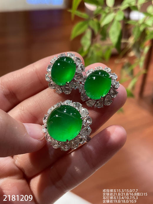 蛋面套装【2181209】具体价格微信咨询 商品图0