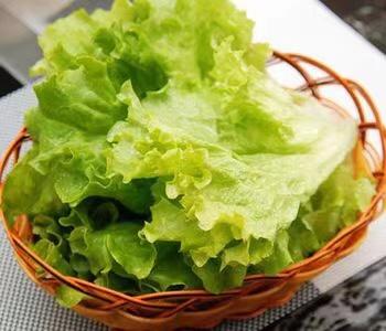 生菜480g-520g 商品图2