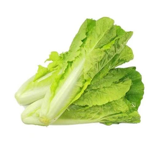 小白菜480g-520g 商品图0