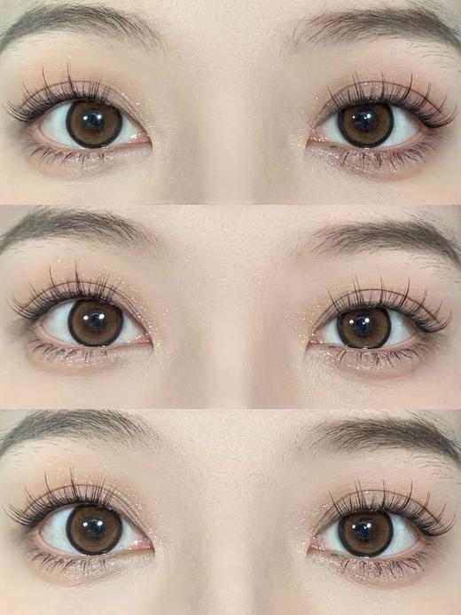 Bangcostar日抛-琥珀仔10片/盒 商品图3