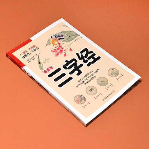 软精装国学 三字经 王应麟 著 国学 商品图2