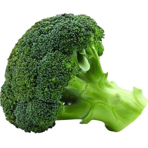 西兰花 480g-520g 商品图2