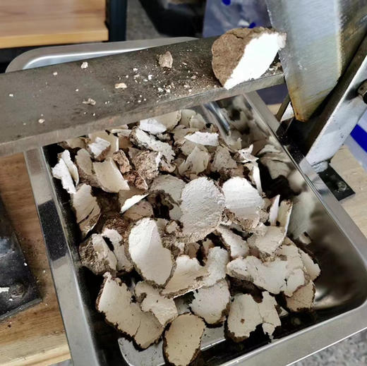 虎奶菌（送海底椰） 商品图2