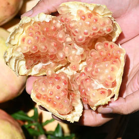 【云南蒙自甜石榴】硬籽甜石榴 现摘现发 皮薄籽多 清甜多汁 2种规格任选