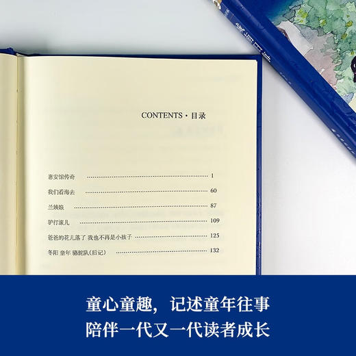 经典译林 城南旧事 林海音 著 小说 商品图2