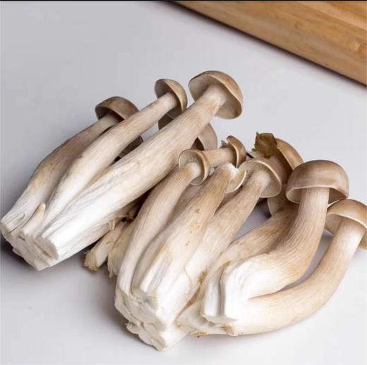 新鲜鹿茸菇（500g） 商品图0