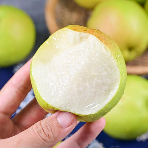 山西隰县玉露香梨 【顺丰发货】 商品图0