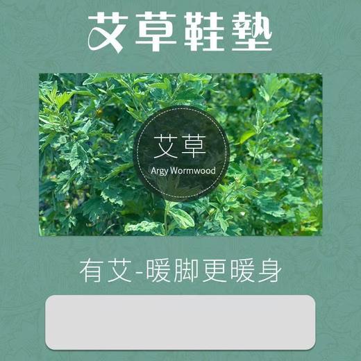 [清货]艾草鞋垫 商品图2