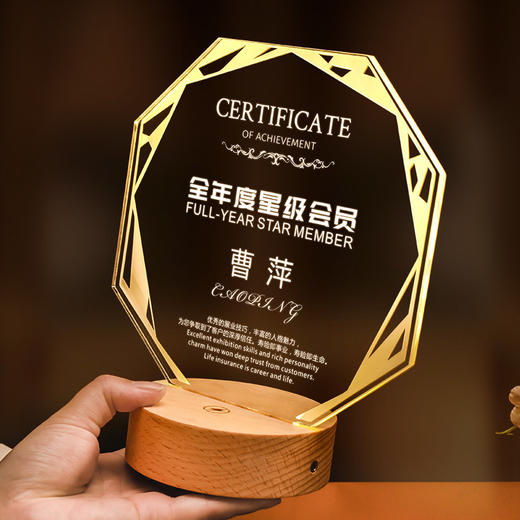 发光实木底座水晶奖杯定制定做奖牌亚克力LED员工纪念礼品小夜灯 商品图3