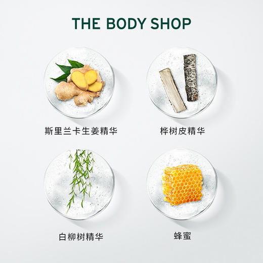 【身体护肤专场】The body shop新款生姜洗发水400ml 商品图4