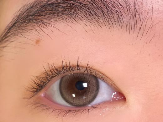 Bangcostar日抛-冰乳酪10片/盒 商品图6