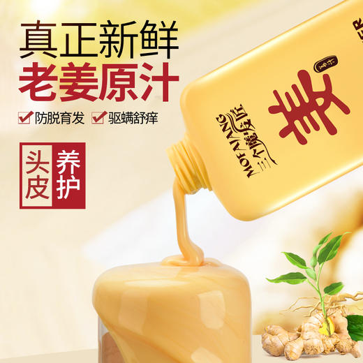 生姜防脱发洗头男女士去屑控油洗发露 商品图3
