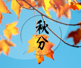 【节气养生】秋分，进补要补对，这3个经典食疗方健脾不长胖！