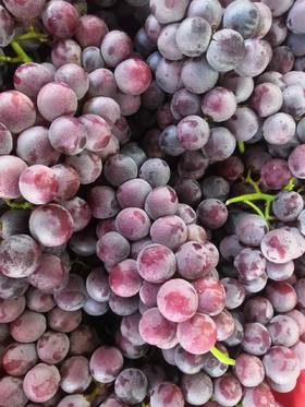 XZG-河北巨峰葡萄🍇 甜！！ 4斤/箱～32元