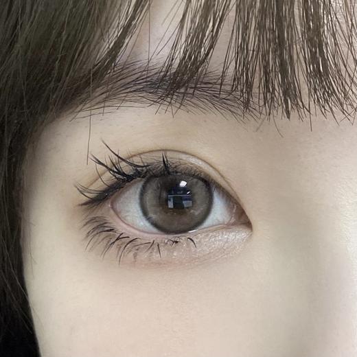 Bangcostar日抛-冰乳酪10片/盒 商品图8