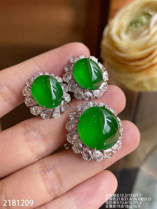 蛋面套装【2181209】具体价格微信咨询 商品图6