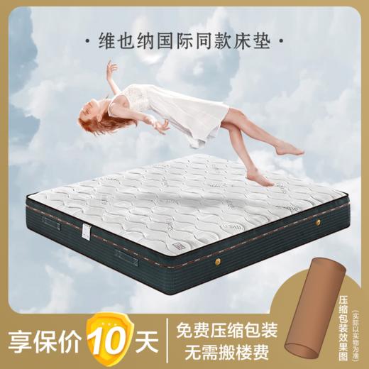 维也纳国际5.0 九代床垫 商品图0