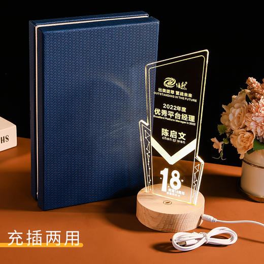 发光实木底座水晶奖杯定制定做奖牌亚克力LED员工纪念礼品小夜灯 商品图2