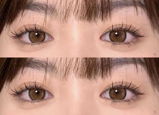 Bangcostar日抛-琥珀仔10片/盒 商品图7