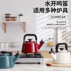 方形鸣笛叫壶 CTN-2.1WK