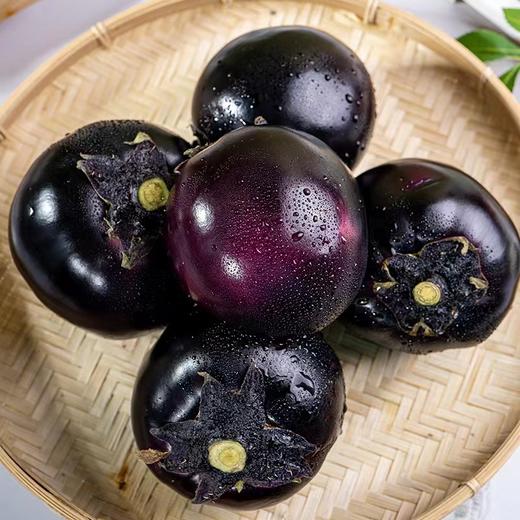 紫圆茄480g-520g 商品图2