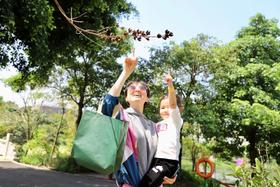 11.24悦读自然系列【秋野拾趣】