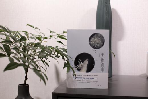 《无所动心》 商品图3