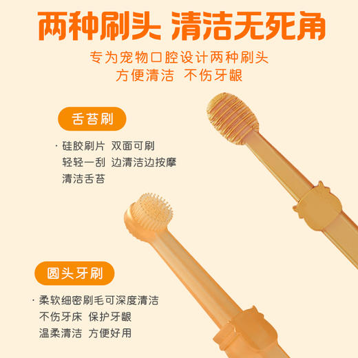 宠物硅胶牙刷2支盒装 两种刷头 狗狗猫咪口腔护理用品 厂家直供 商品图1