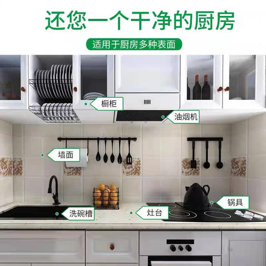 巨型一号丝瓜除油剂480g 商品图6