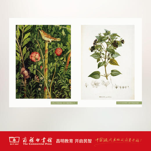 伟大的博物学家 商品图2