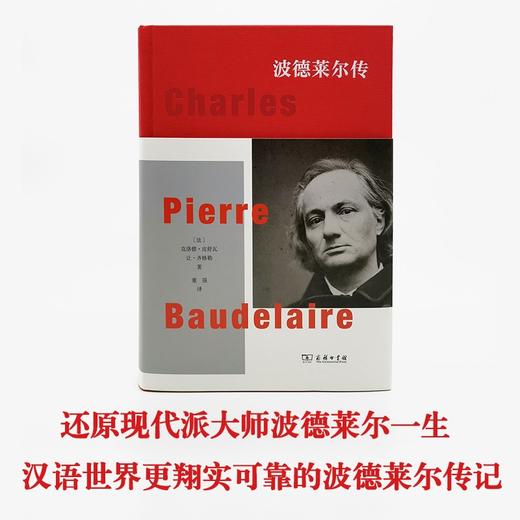 波德莱尔传 商品图1
