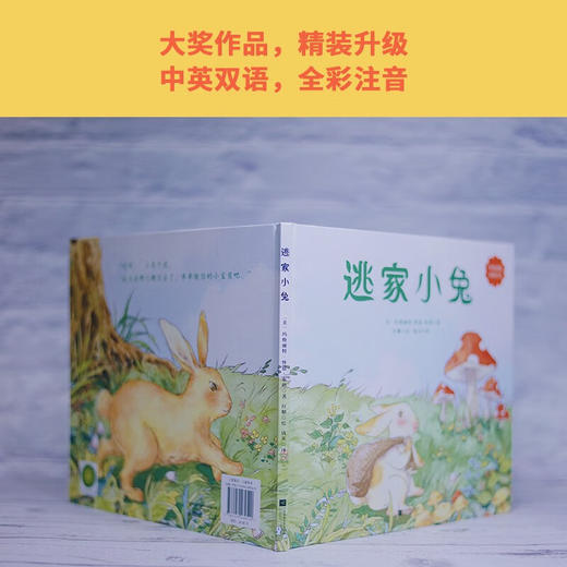 逃家小兔 3-6岁 玛格丽特·怀兹·布朗 著 儿童绘本 商品图3