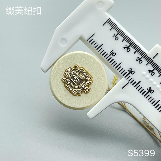 S5399(整包购买) 商品图5