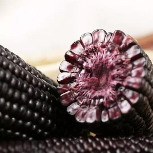 【果蔬精选】有机黑甜糯玉米 有机认证 软糯香甜 原汁原味 新鲜甜黏玉米 杂粮粗粮 早餐烧烤食材 商品图1