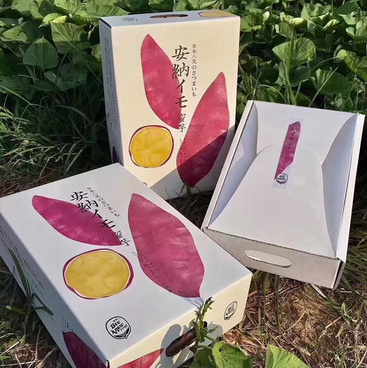 安耐芋地瓜来~地瓜界的实力派idol 日本品种，安纳芋，代餐神器这个地瓜非常好吃，不会很干甜甜糯糯的口感特别适合小孩子和老人吃~吃过的都知道这个地瓜[呲牙][呲牙]好吃 商品图3