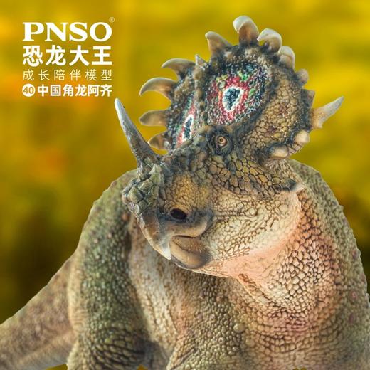 PNSO中国角龙阿齐恐龙大王成长陪伴模型40 商品图0
