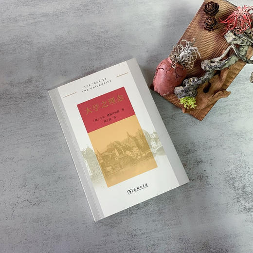 大学之理念 [德]卡尔·雅斯贝尔斯 著 邱立波 译 商务印书馆 商品图1