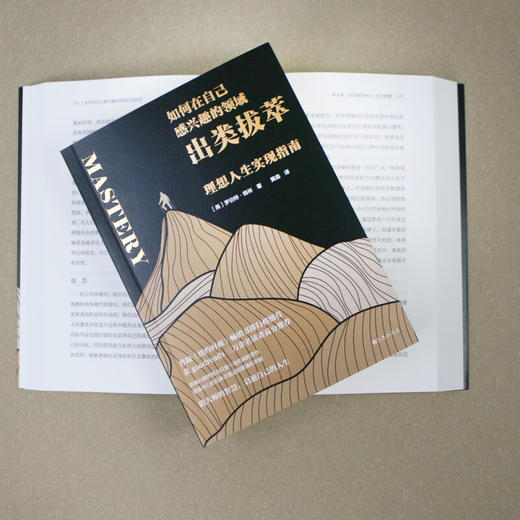 如何在自己感兴趣的领域出类拔萃 罗伯特•格林 著 励志 商品图2